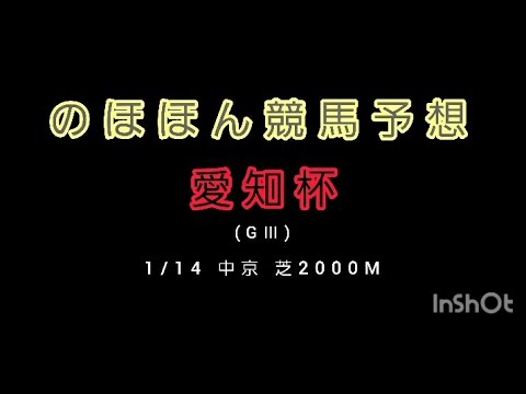 【競馬予想】愛知杯(GⅢ)予想 #競馬予想 #愛知杯2023