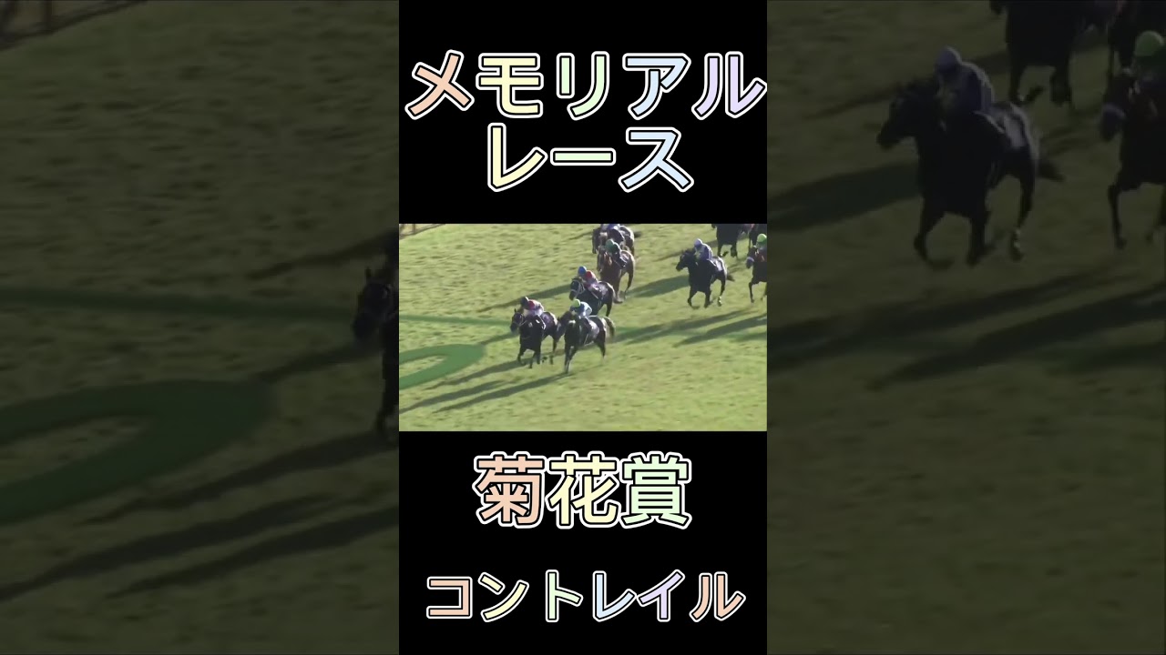 これは凄い！菊花賞のコントレイル！#shorts #競馬 #スポーツ #菊花賞