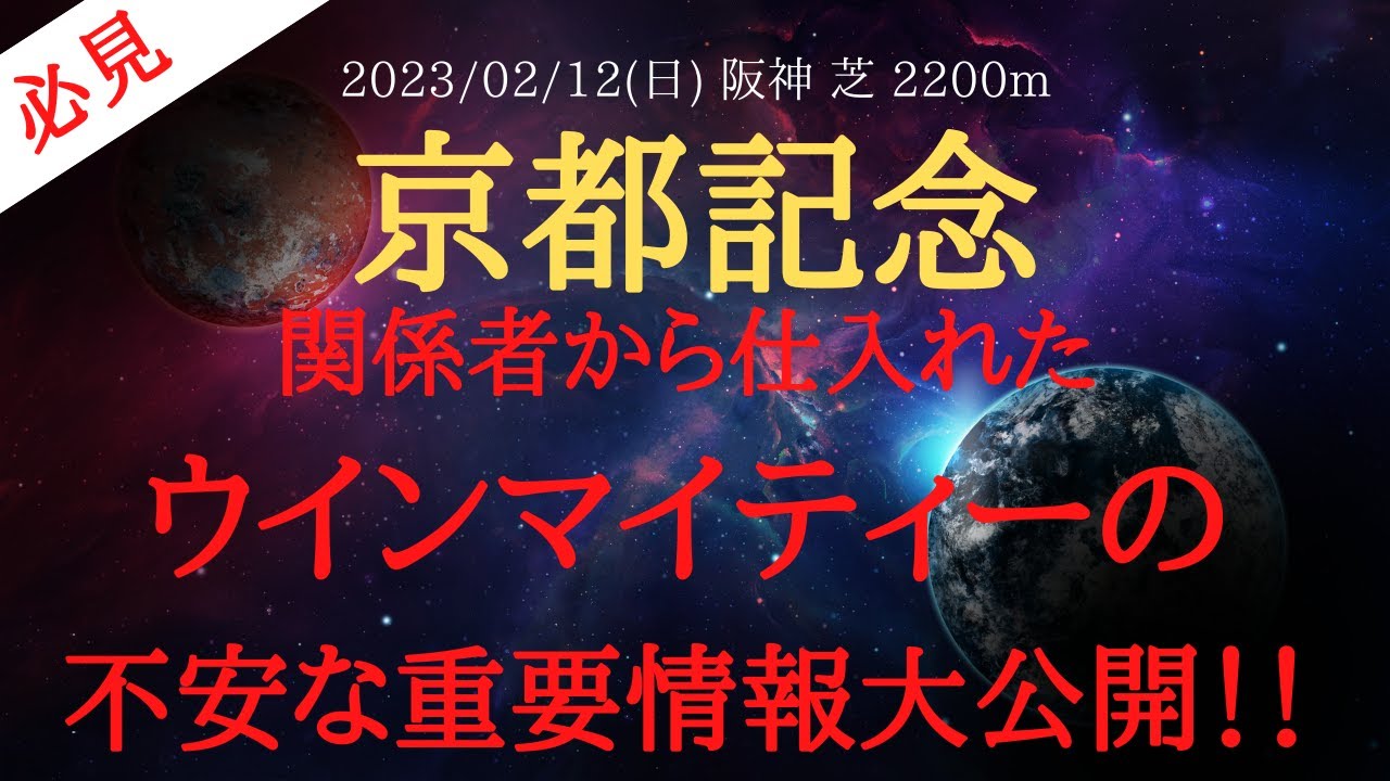 【 裏情報 】京都記念 2023 予想 関係者から仕入れたウインマイティーの不安な重要情報を公開！【 中央競馬予想 】