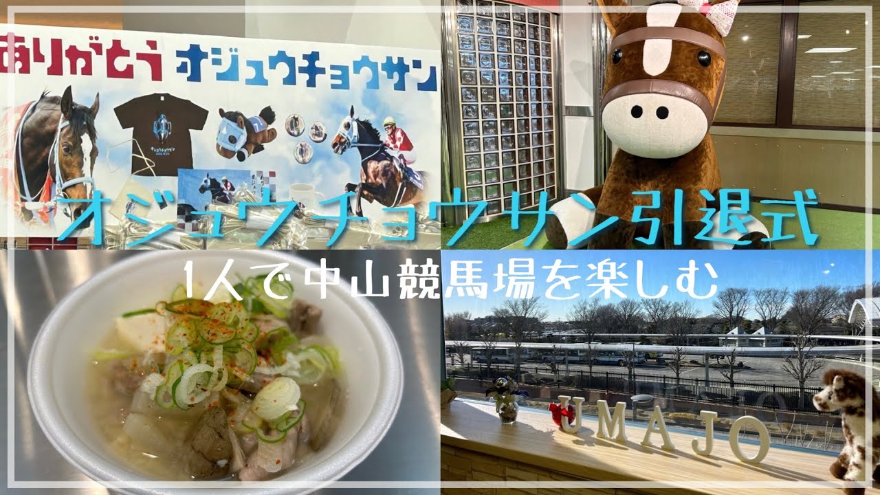 【引退式】オジュウチョウサン引退レースを見に中山競馬場へ行ってきた#競馬