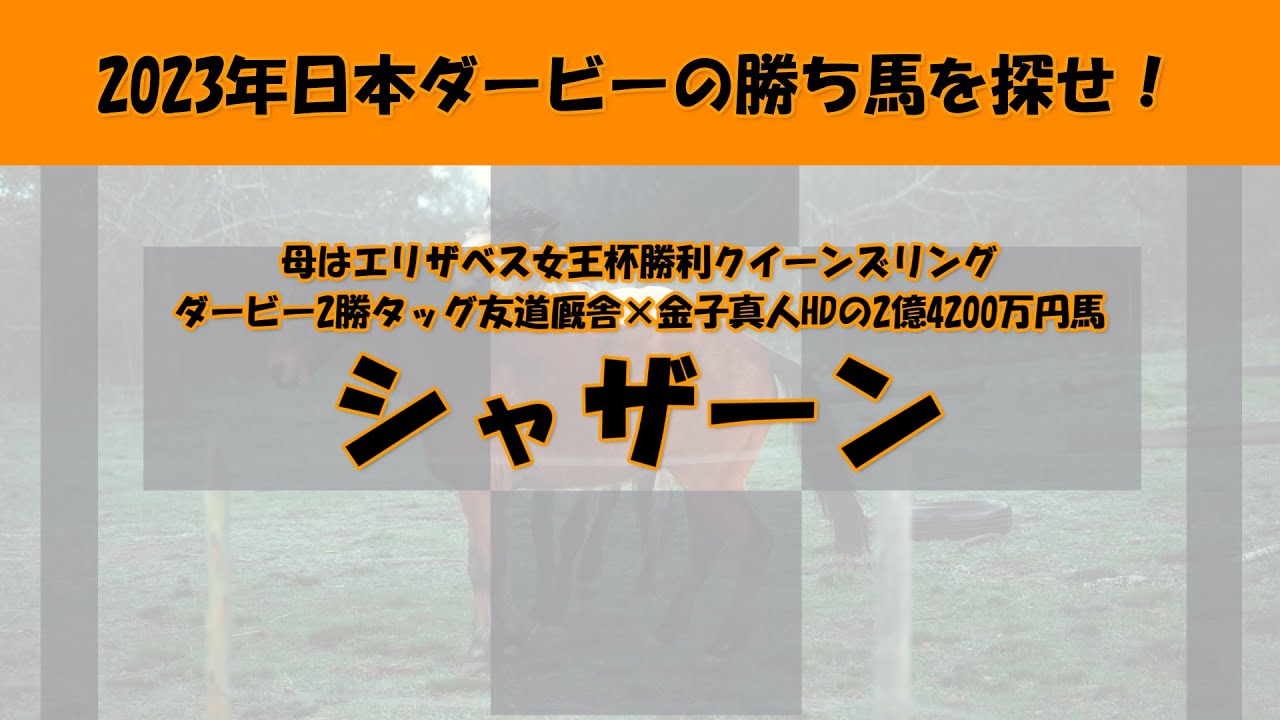 2023年日本ダービー馬を探せ！#38　ダービー2勝タッグ友道厩舎×金子真人HDの高額取引馬シャザーンを注目馬として取り上げました。母はエリザベス女王杯勝ちクイーンズリング。