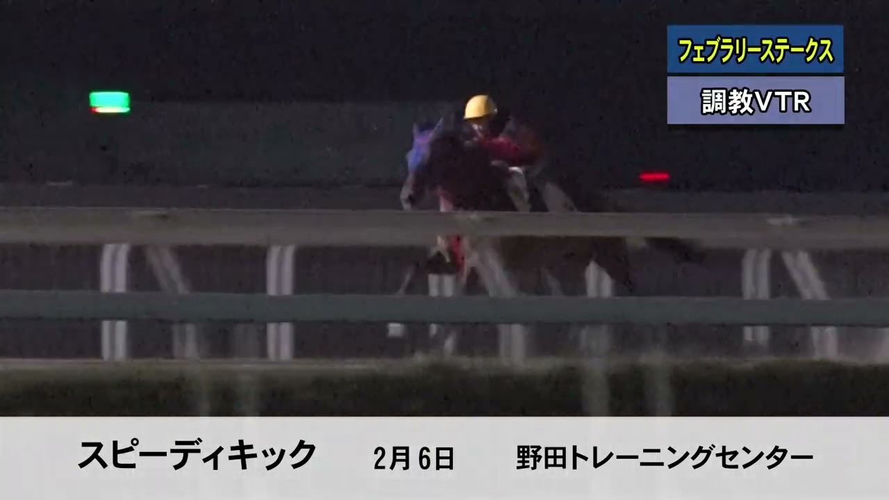 フェブラリーS参戦！ スピーディキック号 追い切り動画（2月6日 野田トレーニングセンター）
