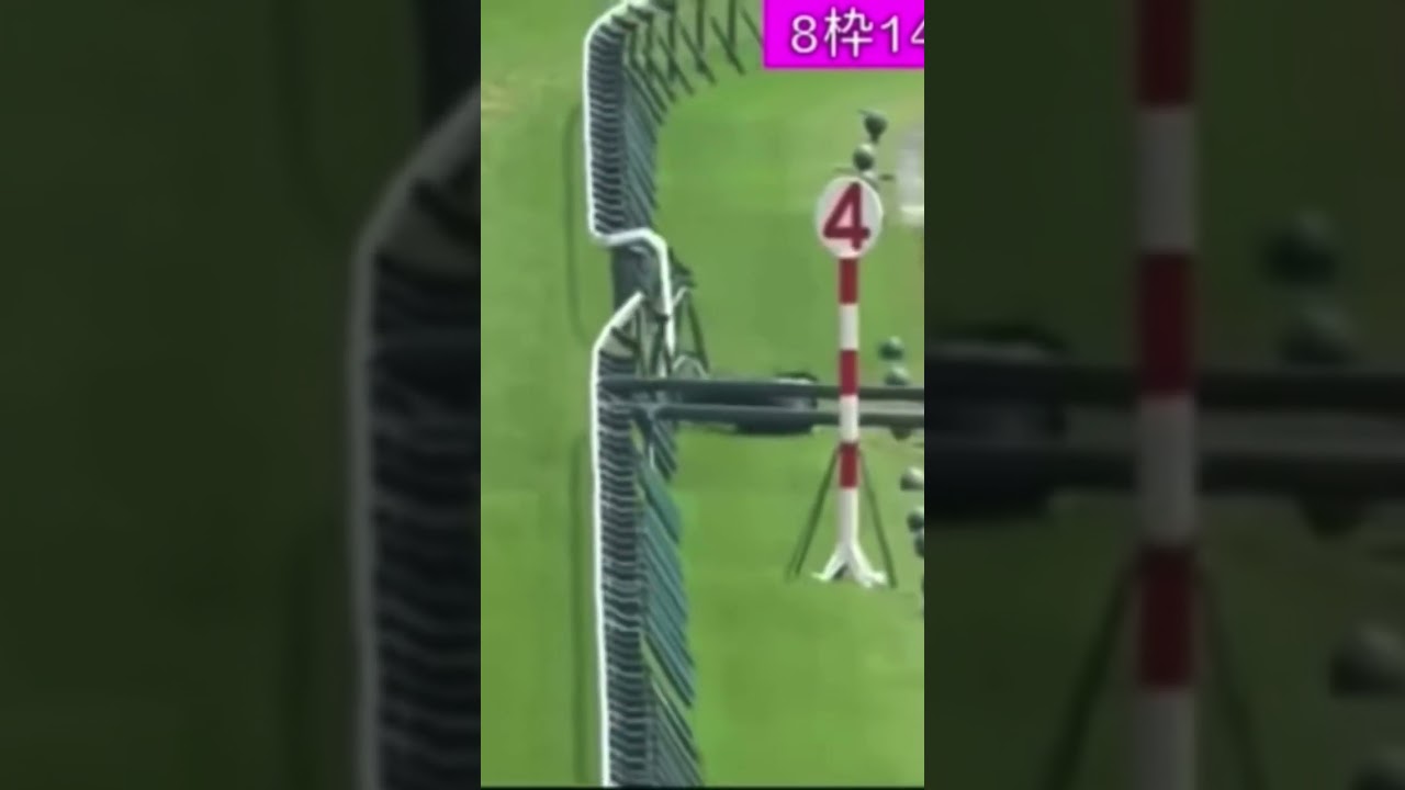 柵にぶつかり落馬してしまう