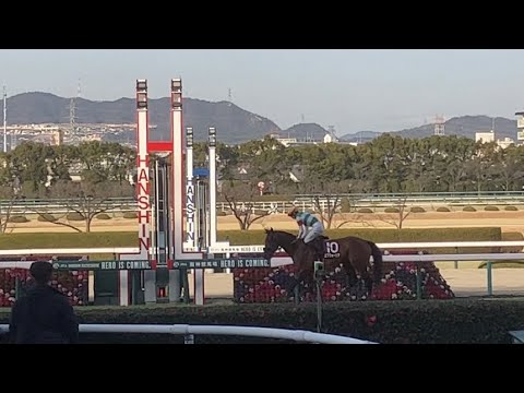 2023 京都記念　ゴール板目の前での現地映像　(エフフォーリアラストラン)