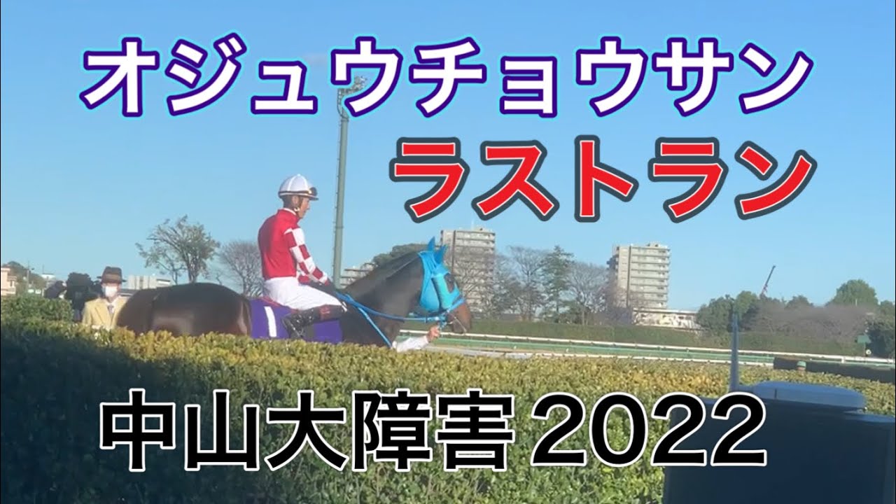 オジュウチョウサン最後の勇姿（2022年12月24日・中山大障害）