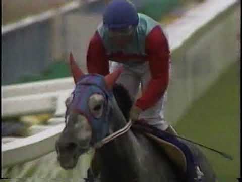 【白い稲妻Ⅱ世　ＧⅠ初挑戦】　第９７回　天皇賞（春） （ＧⅠ）　タマモクロス　1988.4.29　　出走馬：メジロデュレン、ゴールドシチー、スダホーク、ランドヒリュウ、メリーナイス他　　実況：杉本清