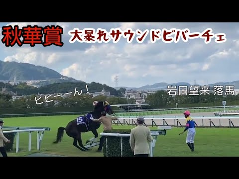 秋華賞 大暴れサウンドビバーチェが岩田望来と職員をなぎ倒す 落馬