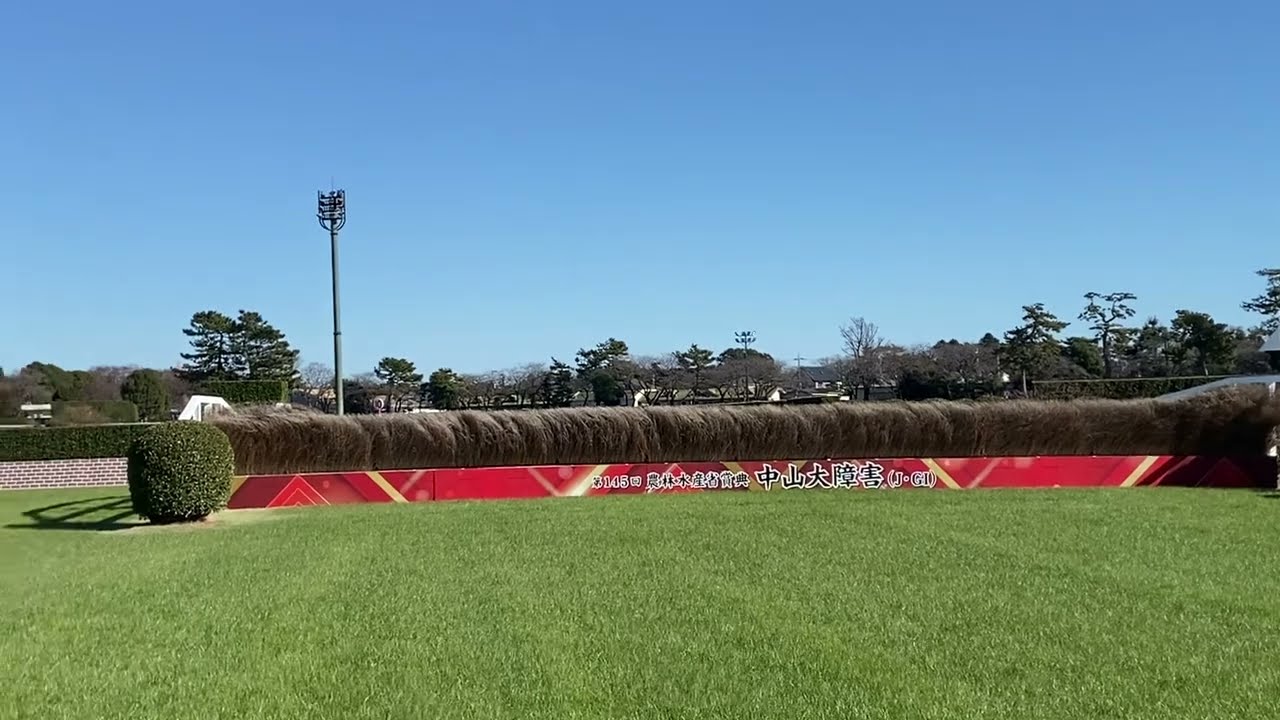 中山競馬場 大障害コース