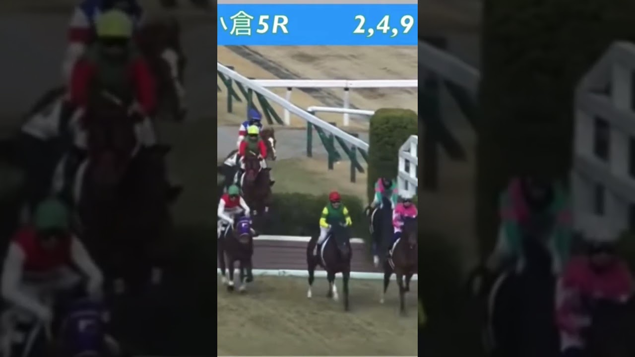 第一障害で落馬してしまう