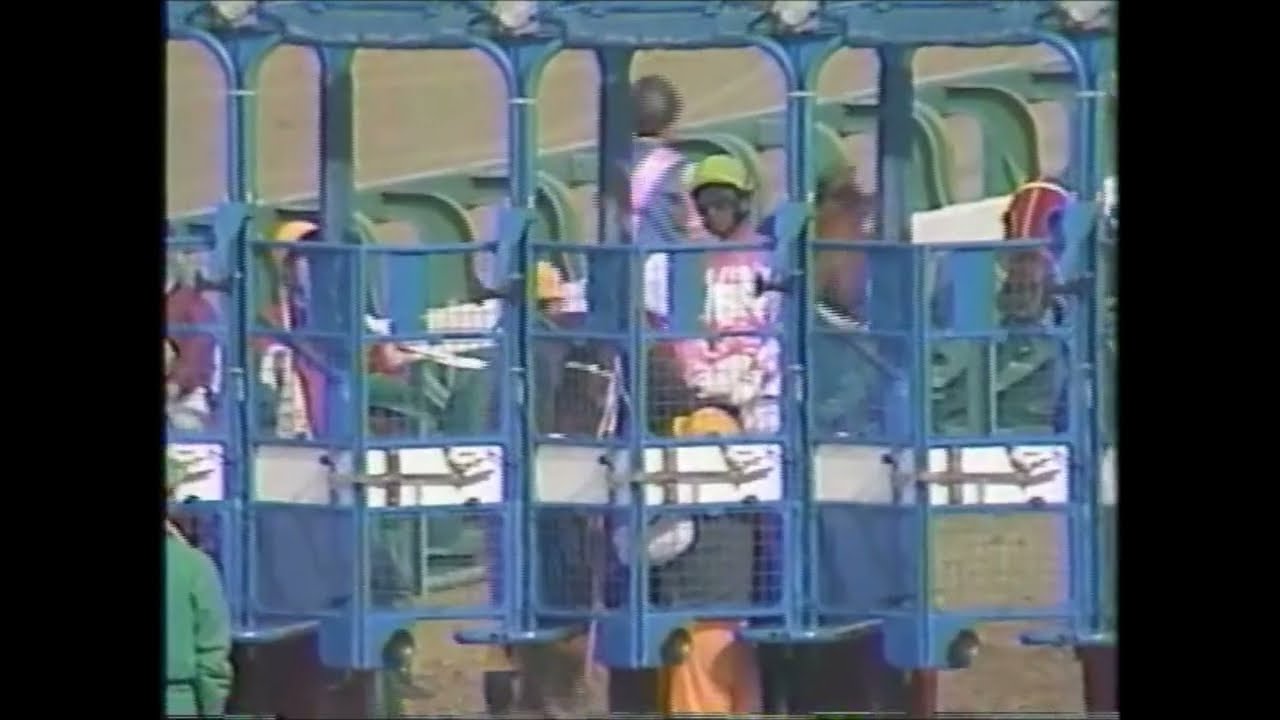 第３４回　産経大阪杯 （ＧⅡ）　スーパークリーク　武豊　1990.4.1　　出走馬：サクラホクトオー、オサイチジョージ、ヤエノムテキ、マヤノオリンピア他　　＃キャッスルリバー