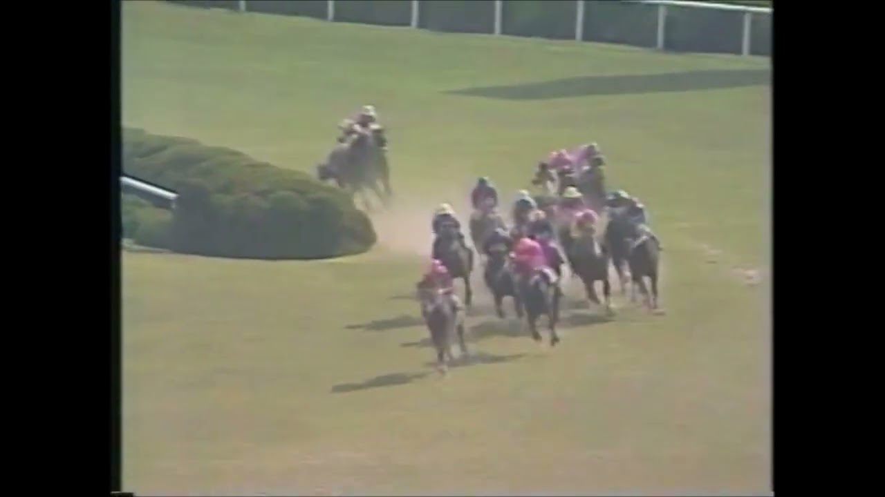 『記念すべきみどりの日に、京都競馬場　史上初の大記録が達成されました！』　第１０１回　天皇賞（春） （ＧⅠ）　スーパークリーク　武豊　1990.4.29　　出走馬：イナリワン他　　実況：杉本清