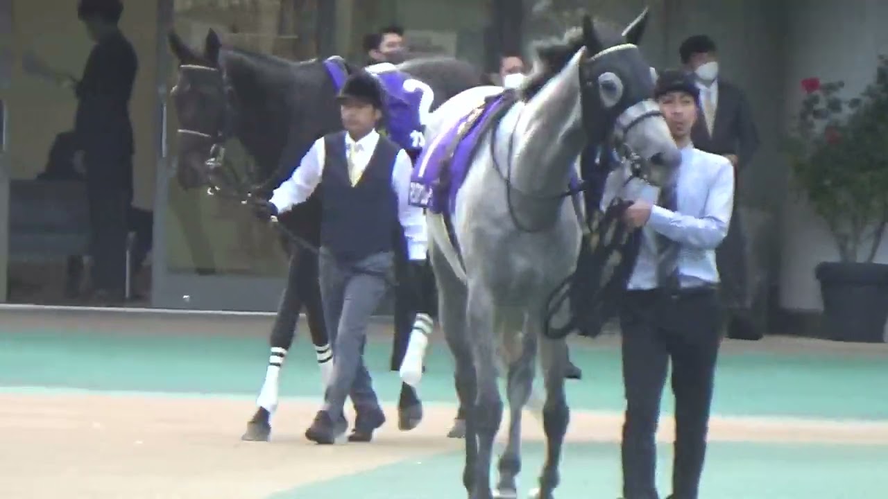 2022.10.30 東京競馬場☆天皇賞パドック（パンサラッサ）