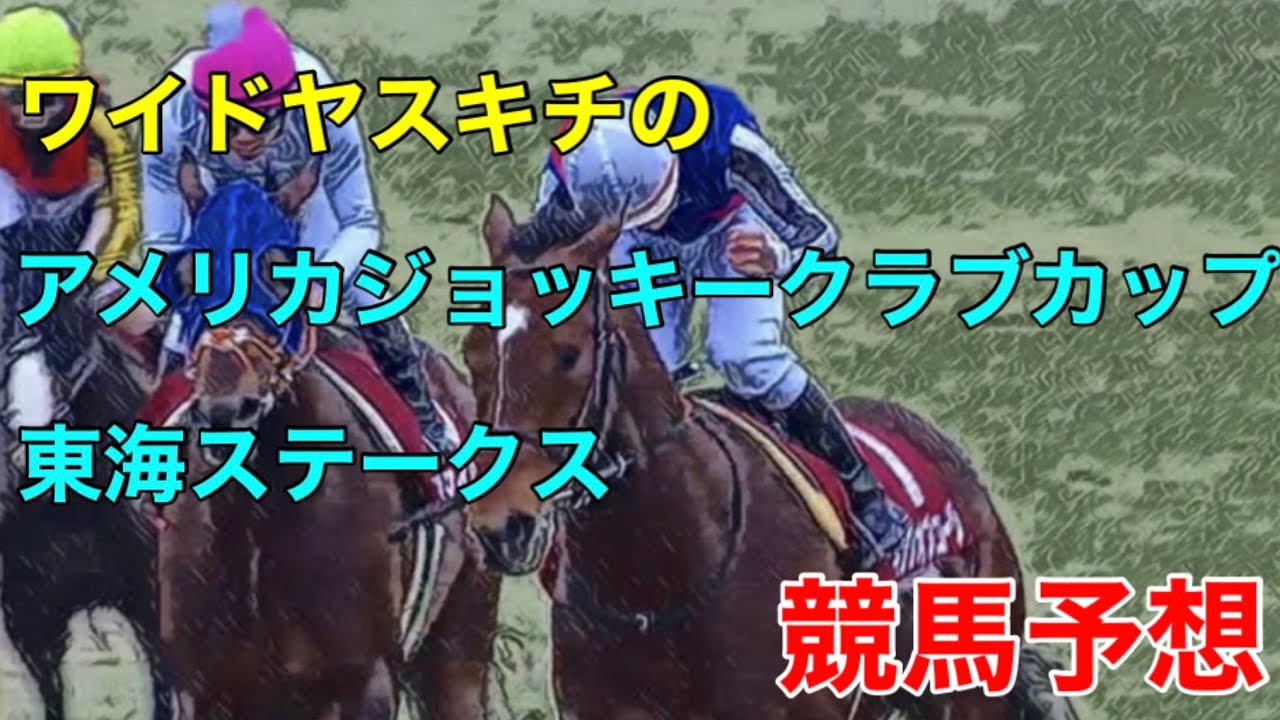 ワイドヤスキチの2023アメリカジョッキークラブカップG2東海ステークスG2競馬予想
