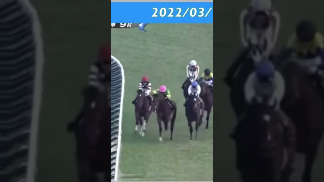 最後の直前で柵にぶつかり落馬してしまう