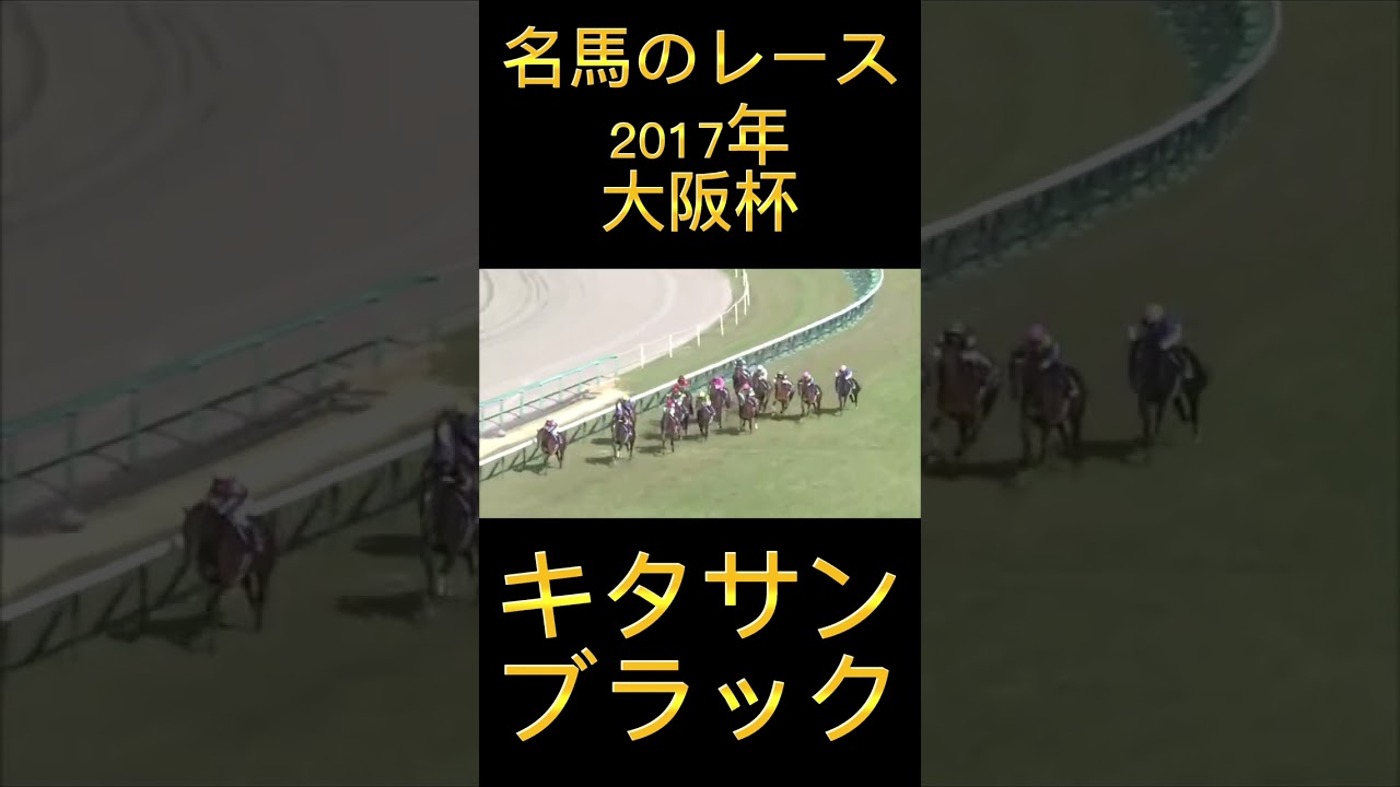 凄いレース！2017年大阪杯のキタサンブラック#shorts #競馬 #スポーツ #ウマ娘 #大阪杯