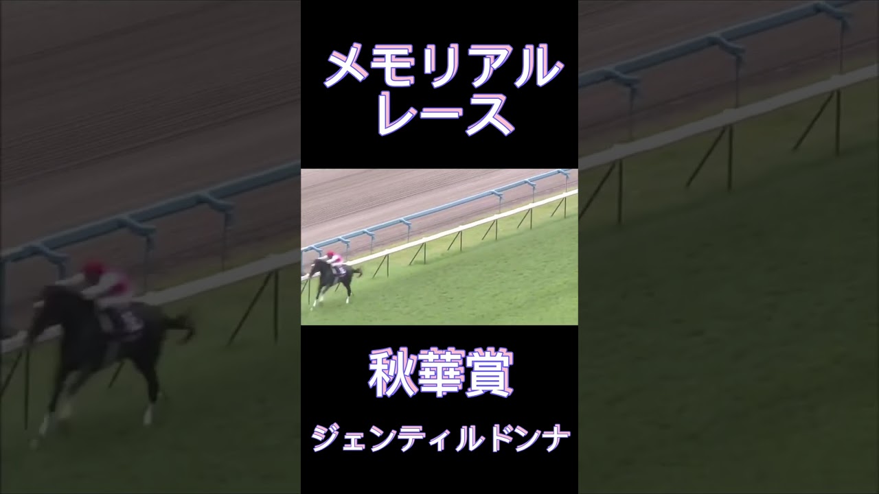 メモリアルレース！秋華賞のジェンティルドンナ#shorts #競馬 #スポーツ #ウマ娘 #秋華賞