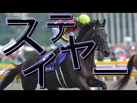 【競馬MAD】ステイヤー・フェノーメノ［002］