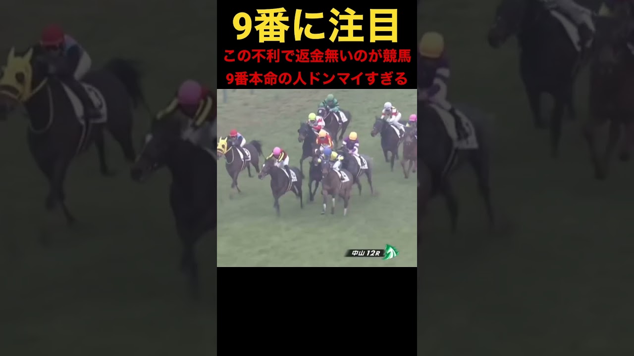 2023年1月14日(土) 中山12R #競馬 #shorts
