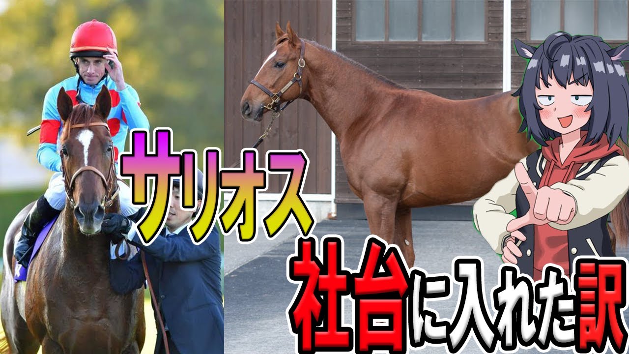 【G1一勝馬】のサリオスが社台スタリオンに入ることができた理由
