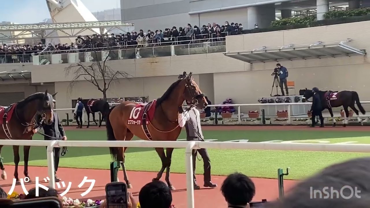 [年度代表馬の最後の勇姿]エフフォーリア　京都記念まとめ