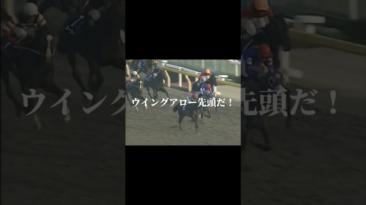 第1回ジャパンカップダート(現 チャンピオンズカップ)ウイングアロー #ウイングアロー#競馬