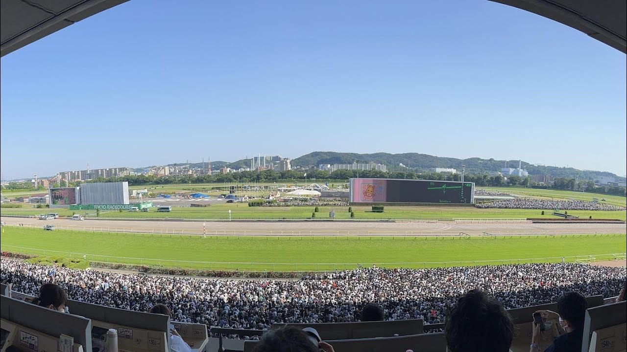 【現地映像】第89回日本ダービー　2022年5月29日　東京競馬場
