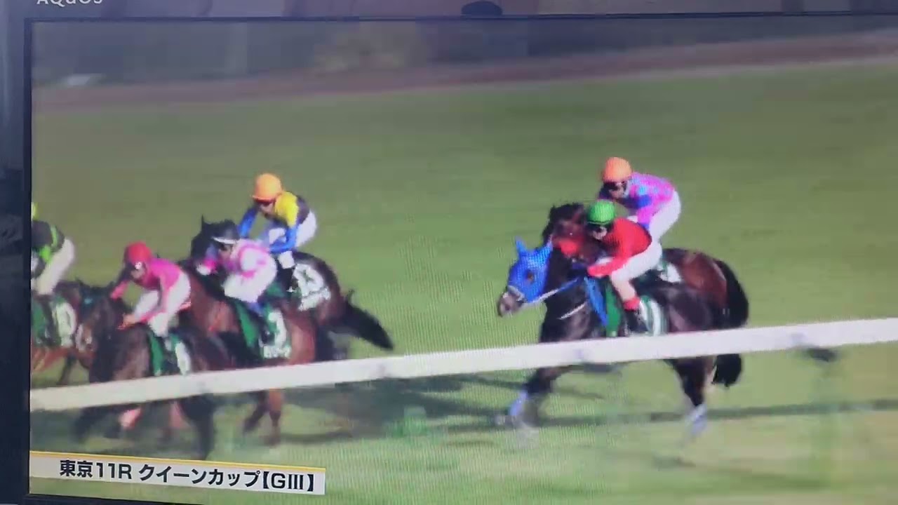 20230211今日の動画は東京11レースデイリー杯クイーンカップ父ハーツクライ産駒ハーパー結果