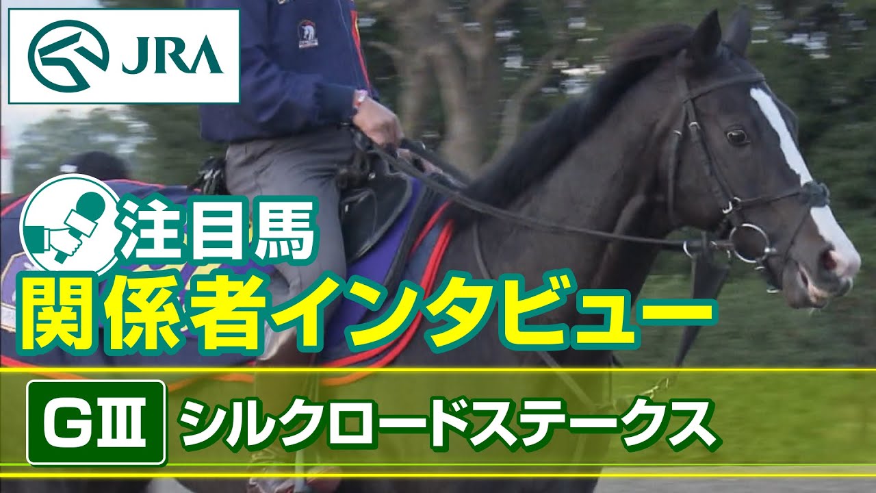 【注目馬 関係者インタビュー】2023年 シルクロードステークス｜JRA公式