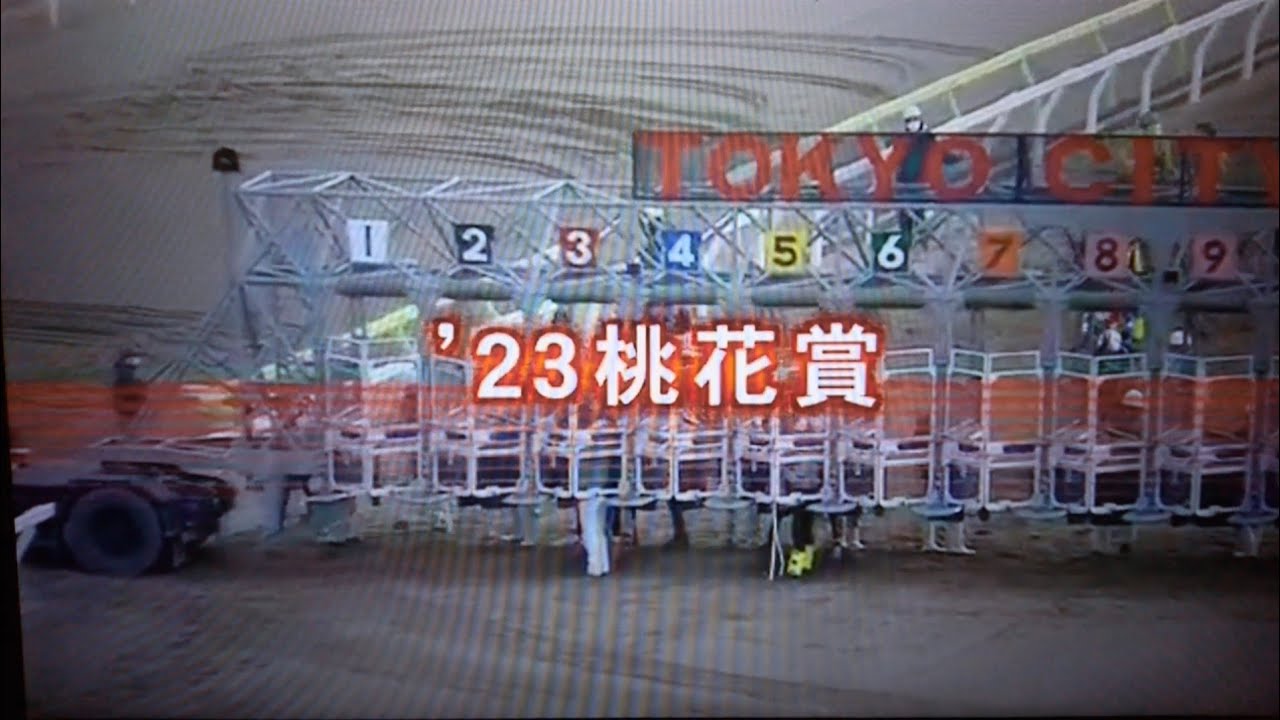 '23桃花賞(準重賞・3歳牝馬)