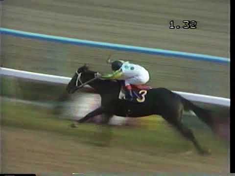 第2回　マイルチャンピオンシップ （ＧⅠ）　ニホンピロウイナー 1985.11.17　　出走馬：ウエスタンファイブ、コーリンオー、トウショウペガサス、エーコーフレンチ、ダスゲニー、ワカオライデン　他