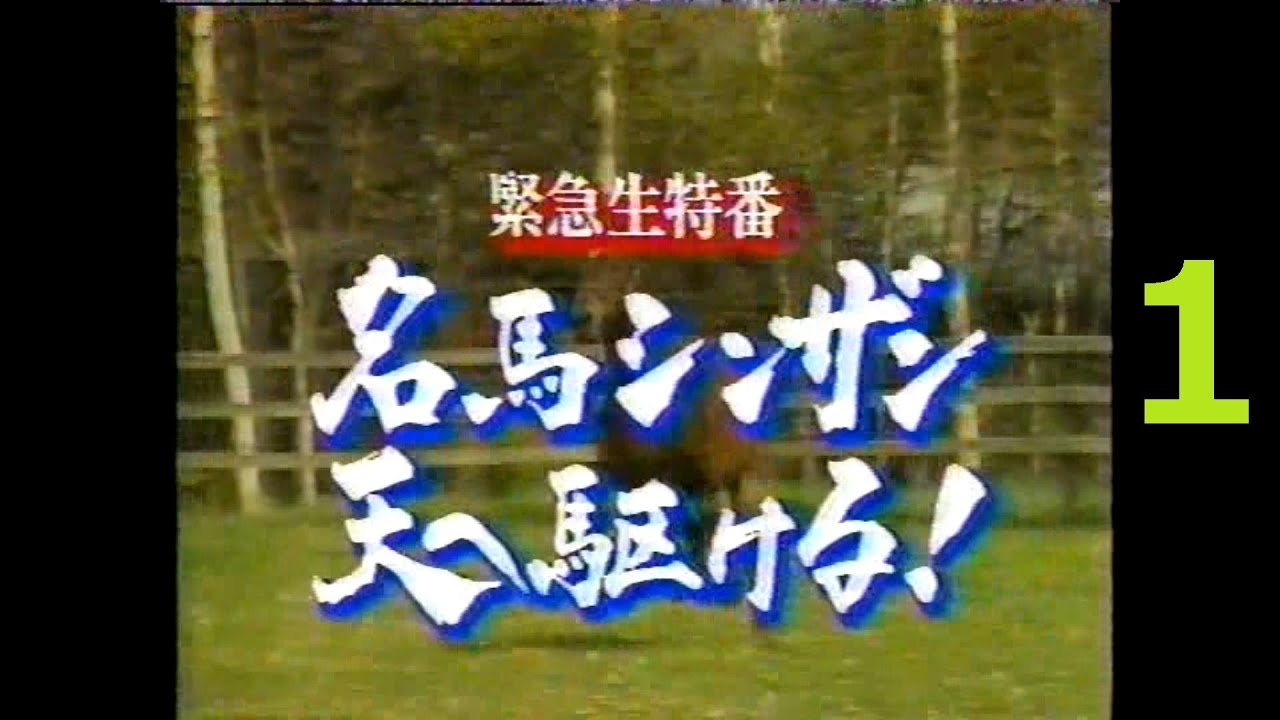 競馬：シンザン（１）（名馬シンザン 天へ駆ける！）