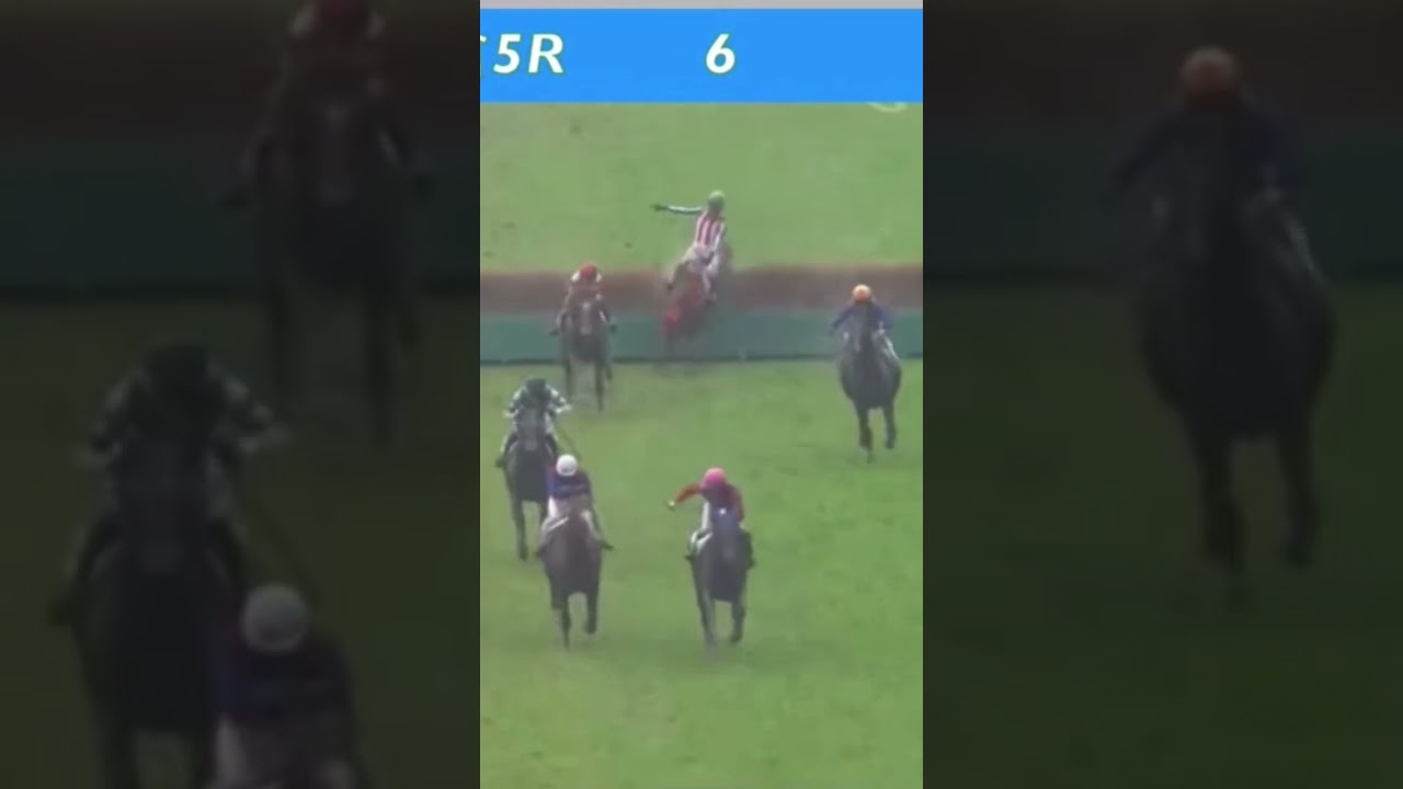 障害レースで飛び越えられず落馬してしまう