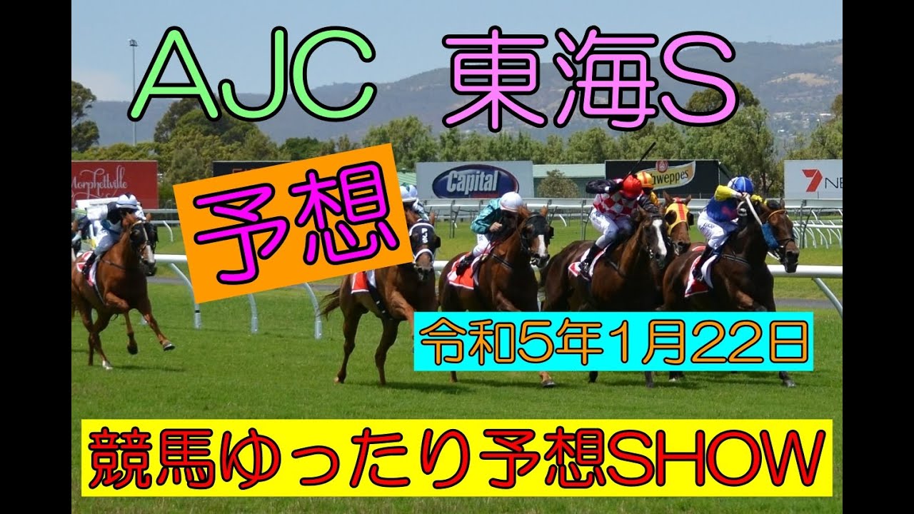 競馬ゆったり予想SHOW【AJC・東海S】