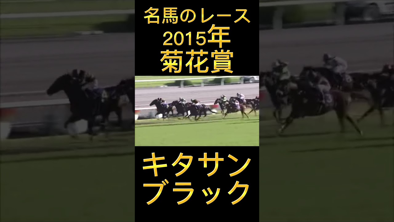 凄いレース！2015年菊花賞のキタサンブラック#shorts #競馬 #スポーツ #ウマ娘 #キタサンブラック #菊花賞