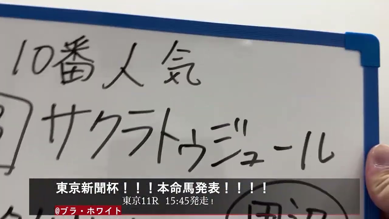 東京新聞杯！本命馬発表！！ブラ・ホワイト