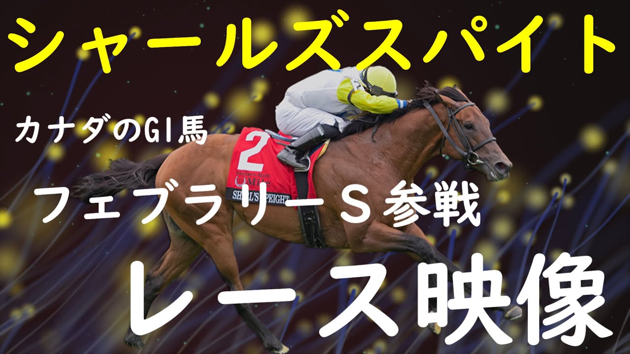 かなり危険です。フェブラリーSに参戦するシャールズスパイトを知らないなんて。【レース映像】