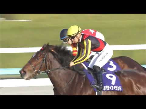 第７４回　農林水産省賞典　阪神ジュベナイルフィリーズ （ＧⅠ）　リバティアイランド　川田将雅　2022.12.11　　出走馬：ウンブライル、モリアーナ他　　実況：川島壮雄　＃キャッスルリバー