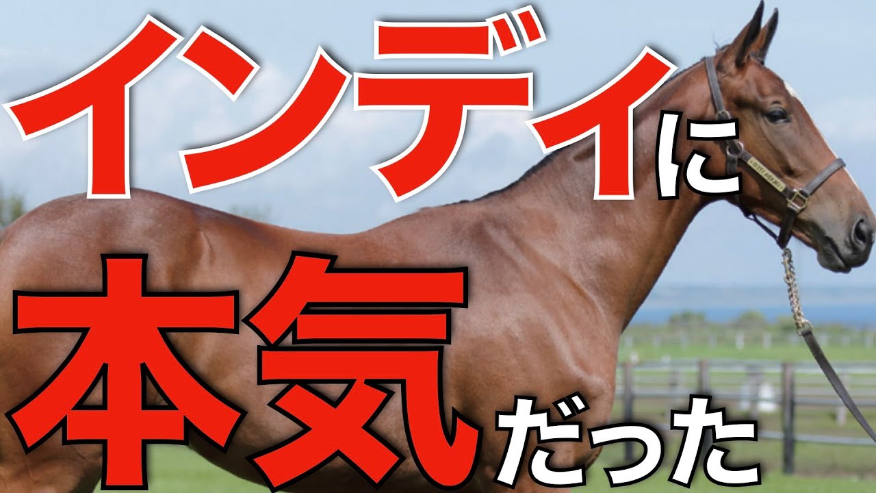 【質量揃う】種牡馬インディチャンプにノーザンFが本気だった！ステゴ系の新たな希望。