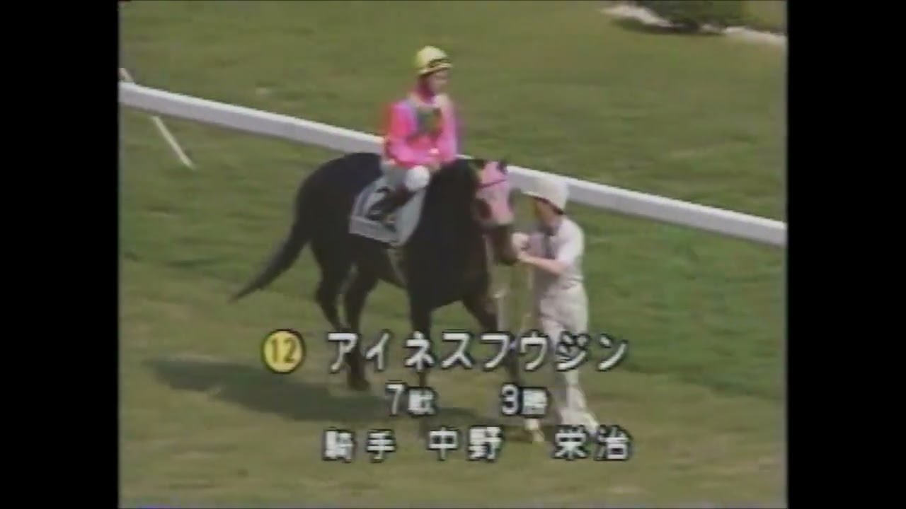 第５７回　東京優駿（日本ダービー） （ＧⅠ）　本馬場入場　　出走馬：【白いハイセイコー】ハクタイセイ、【風神】アイネスフウジン、【麗しき実力者】メジロライアン、ホワイトストーン他　　＃キャッスルリバー