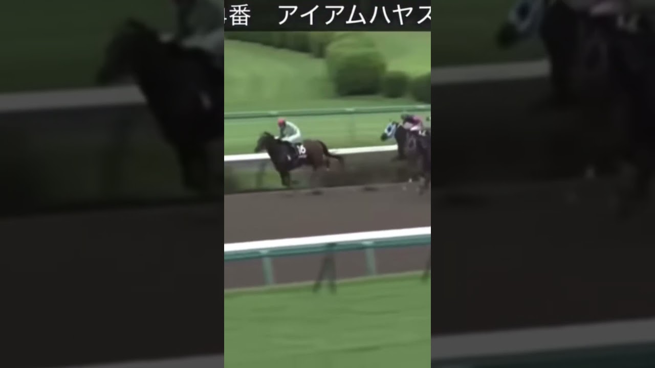 オヌシナニモノをアイアムハヤスギルが差し切る‼️#アイアムハヤスギル #オヌシナニモノ