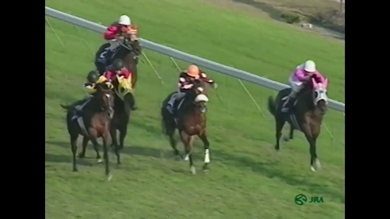 サクラローレル 1996年 第114回天皇賞(秋)(GI) (優勝馬：バブルガムフェロー) (実況：ラジオたんぱ版)