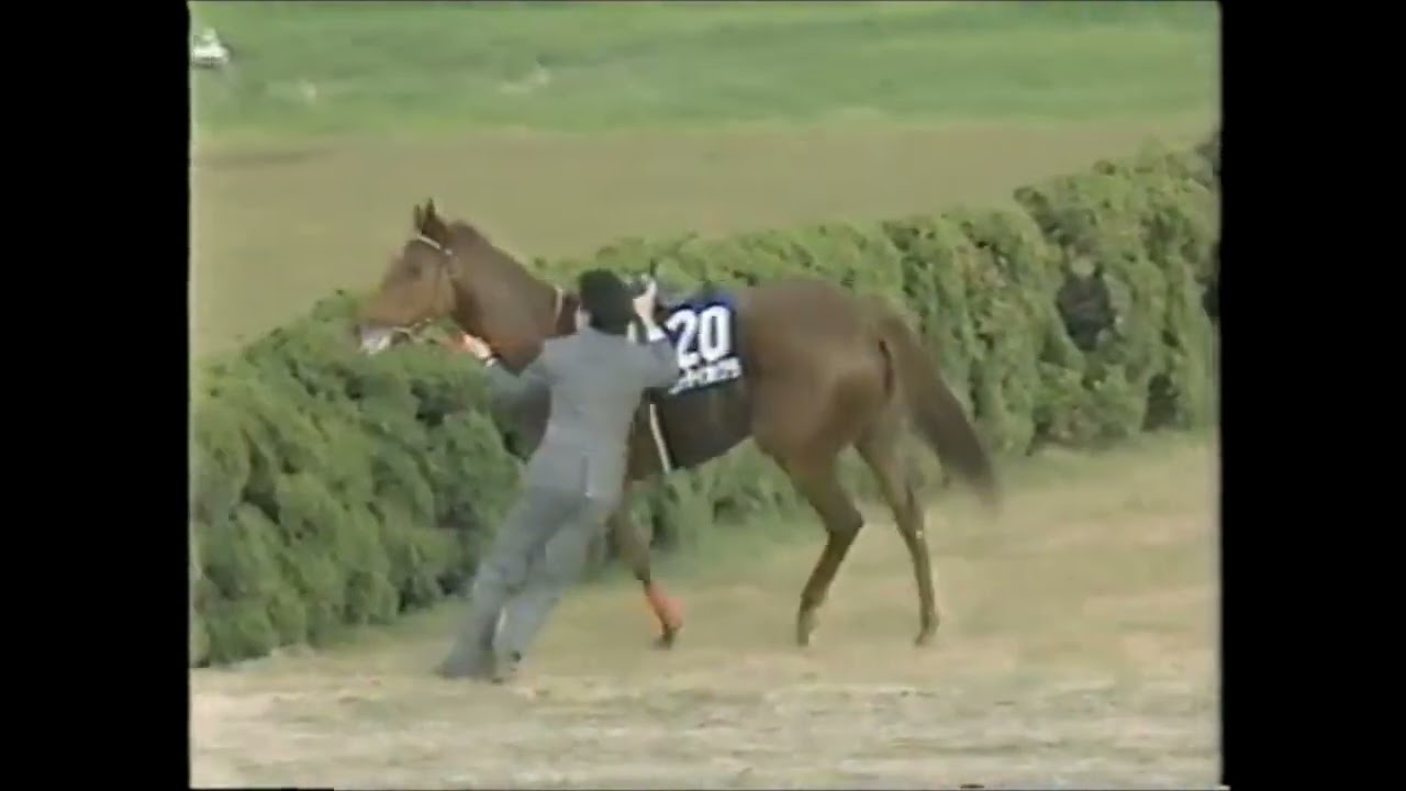 『しかしびっくりだ！これはゼッケン番号6番！サンドピアリスに間違いない！』第１４回　エリザベス女王杯 （ＧⅠ）　サンドピアリス　1989.11.12　出走馬：シャダイカグラ他　　　＃キャッスルリバー