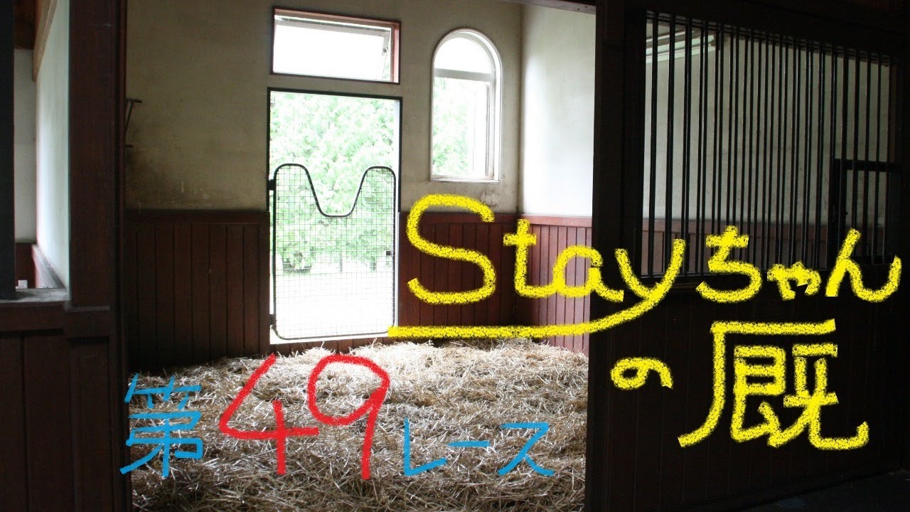 Stayちゃんの厩　第４９レース