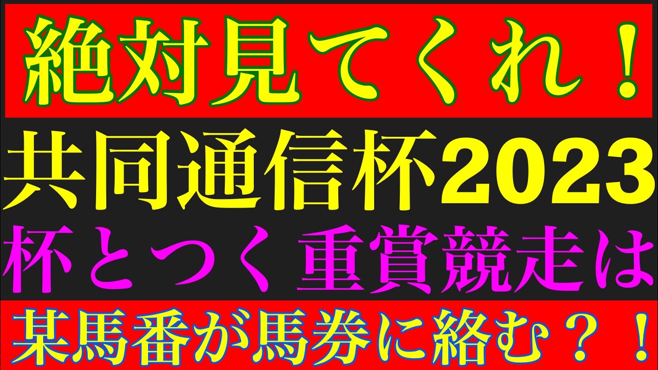 共同通信杯2023のサイン軸馬予想！「杯」とつく重賞競走は、あの馬番が馬券に絡む？
