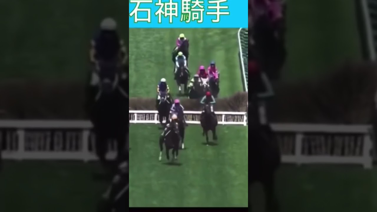 障害レース着地時落馬
