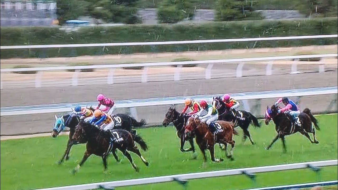小倉8レース牛若丸ジャンプステークス テーオーソクラテス