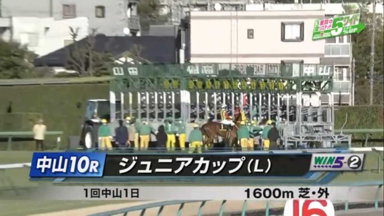 ジュニアカップ(L)