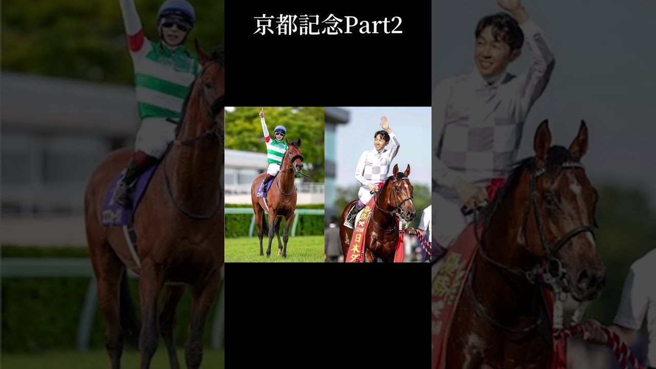 京都記念の狙いはコレだ！！【2月12日予想】