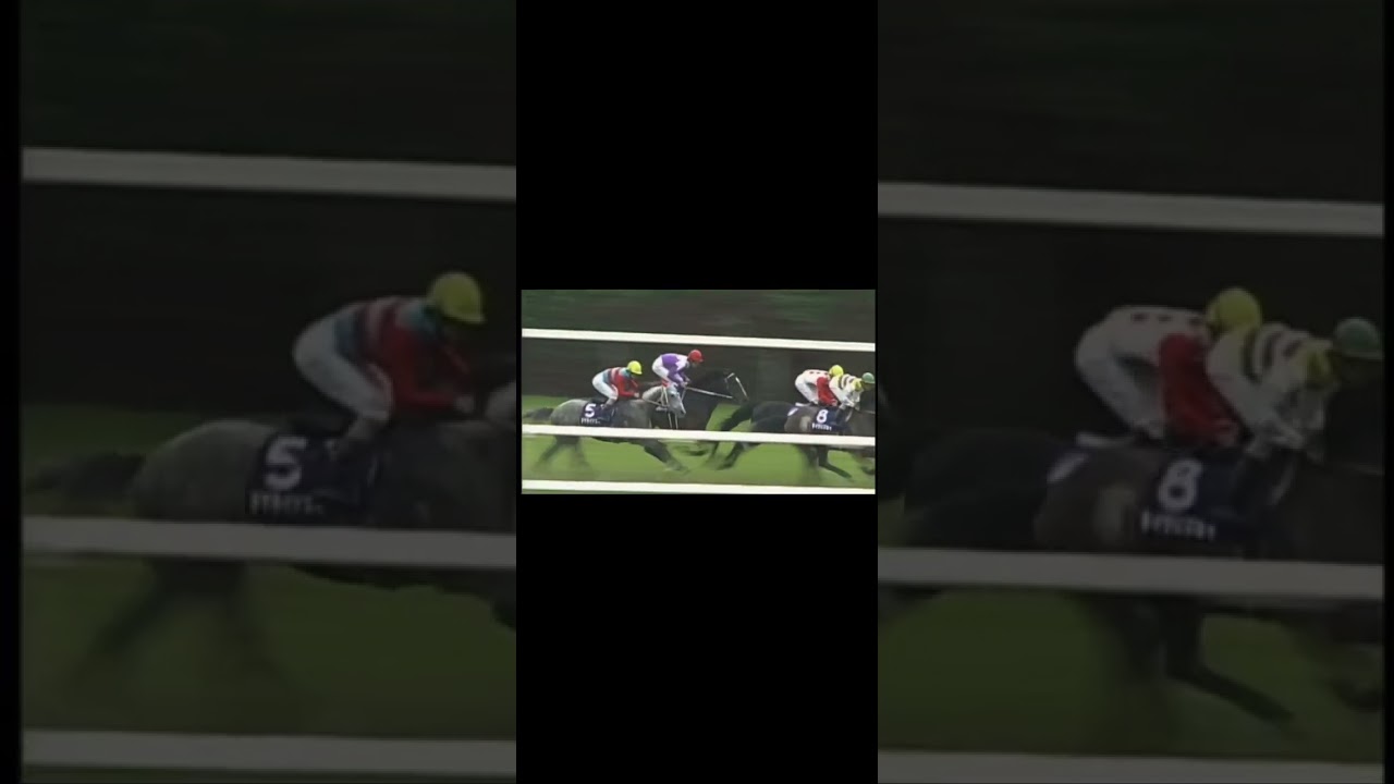 スペシャルウィークが勝利した全G1レース