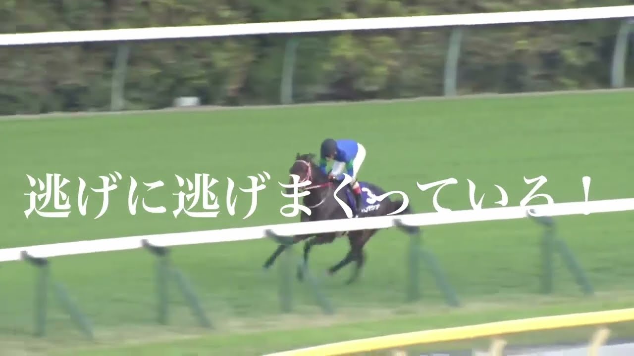 【競馬MAD】BLAZE / 競馬名実況、名レース集part4